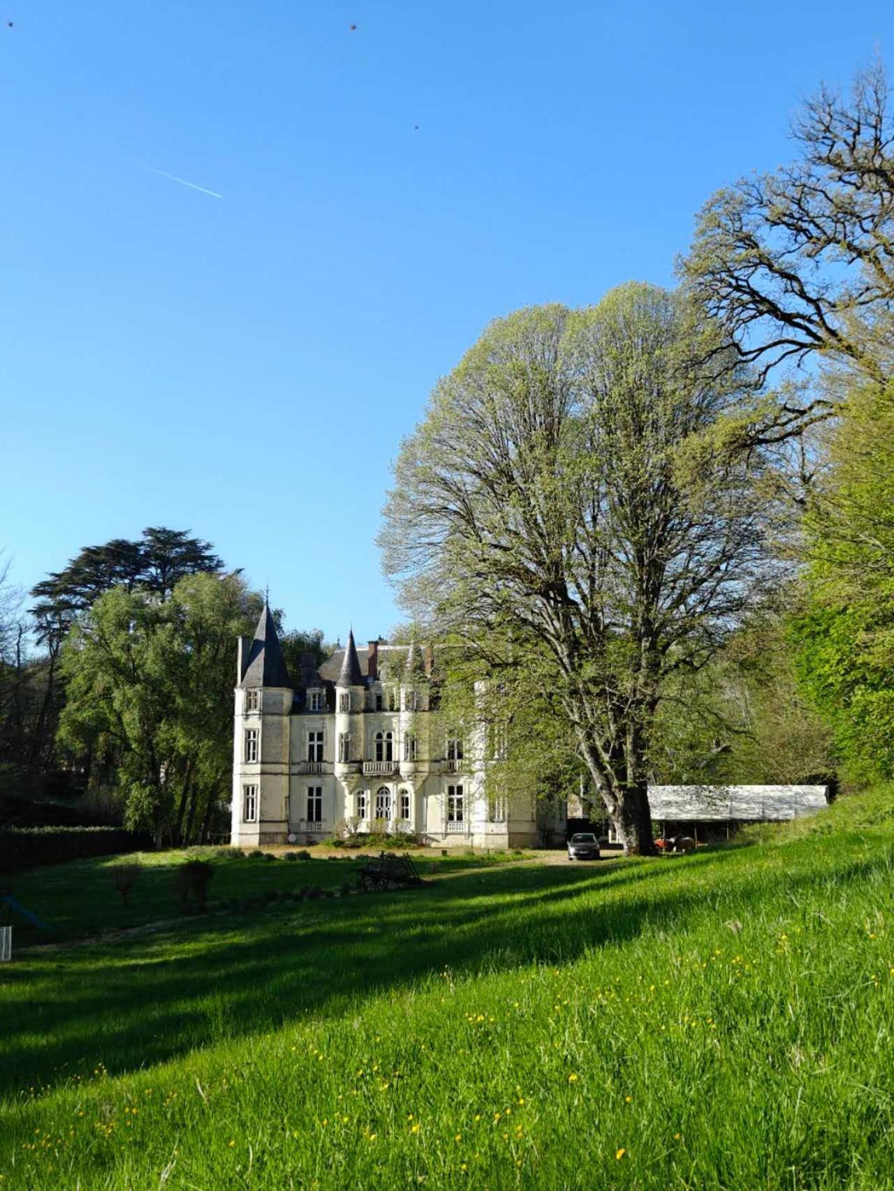 Chateau De Vallagon Montrichard Exterior photo
